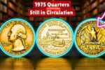Rare 1975 Quarters Still in Circulation: How to Spot Error Coins Worth Thousands